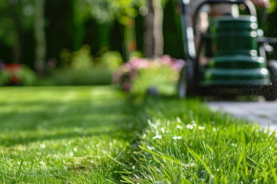 push mower for small yard